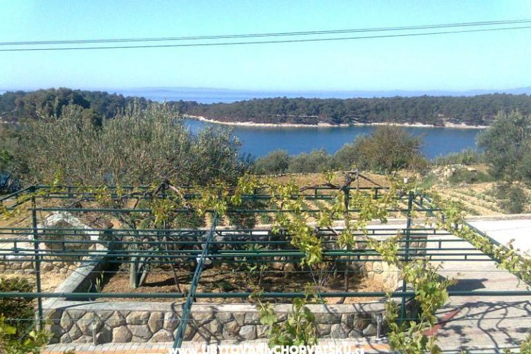 Apartments Mlacović – photo 10