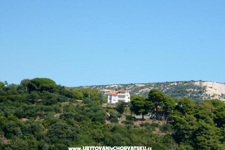 Apartments Mlacović – photo 4