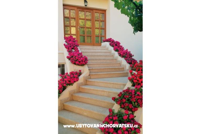 Apartments Natalija – photo 2