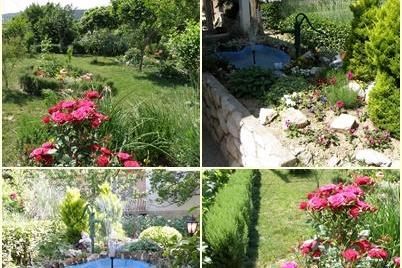 Apartments Skoblar Holiday-Rab – photo 2