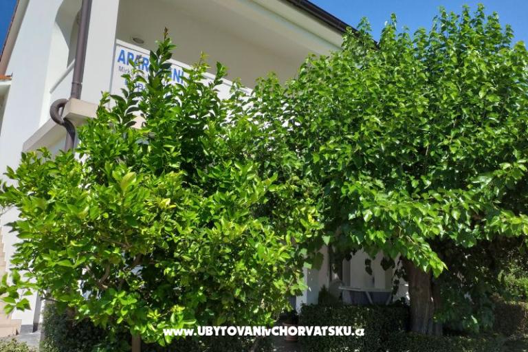 Apartments Snjezana – photo 8