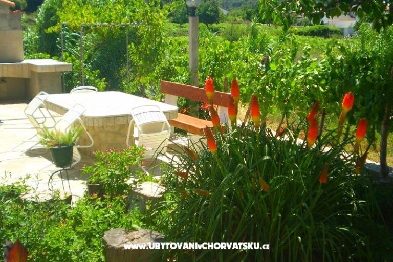 Apartments Vesna – photo 17