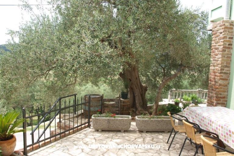 Apartments Dumičić – photo 2