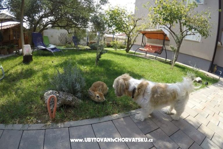 Apartments- Villa Ilijic – photo 11