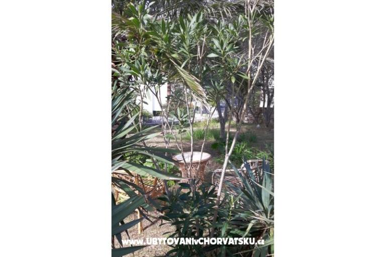 Rooms Jadra – photo 6