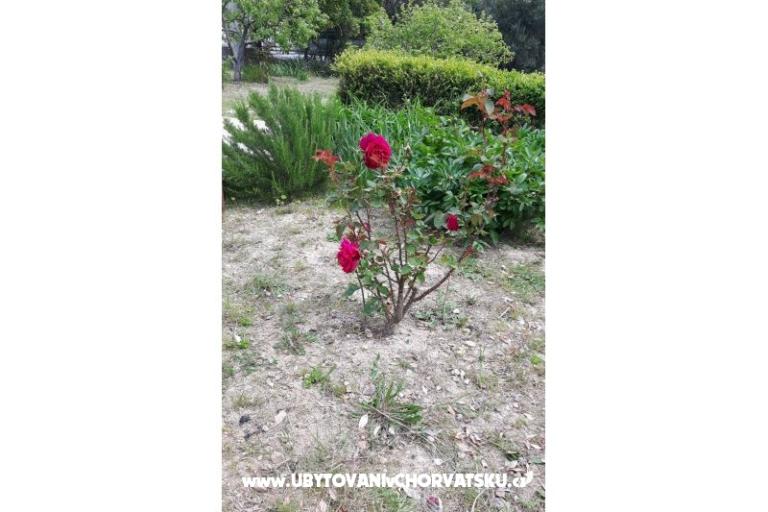 Rooms Jadra – photo 7