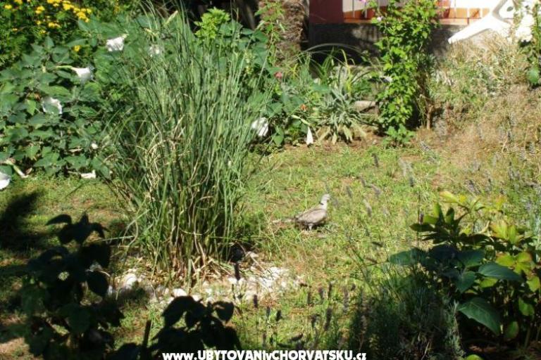 Apartments Malvina – photo 10