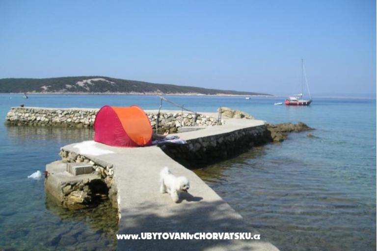 Apartments uvala Vardoža – photo 43