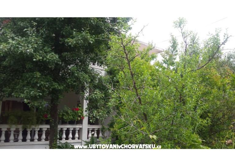 Arba – photo 2