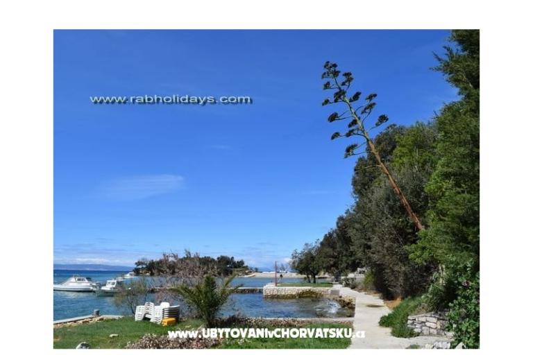 House Ana directly by the beach – photo 15
