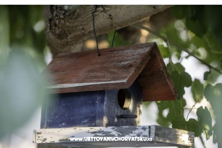 APARTMANI DEBELIĆ – photo 10