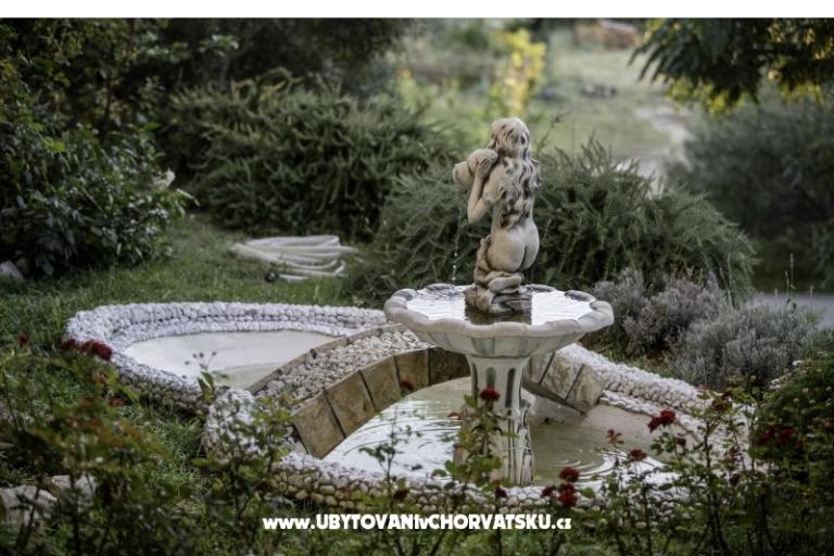 APARTMANI DEBELIĆ – photo 17