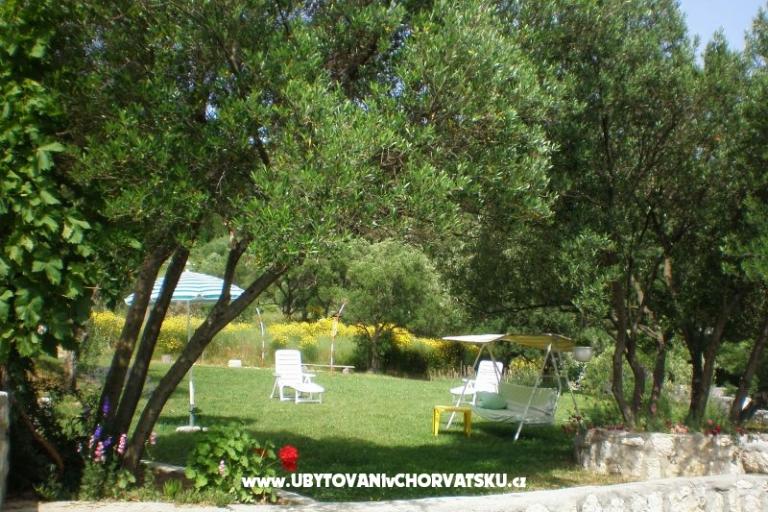 House Zorka – photo 3