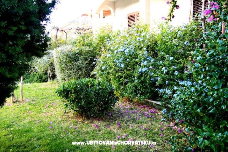 House Ivanić – photo 2