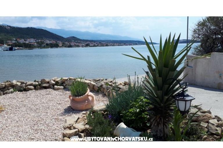La Gatta Apartments – photo 13