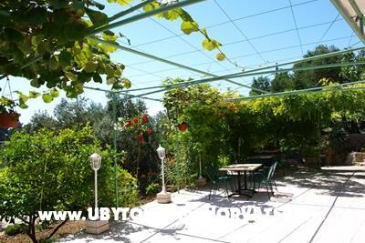 Pansion Vukusic – photo 2