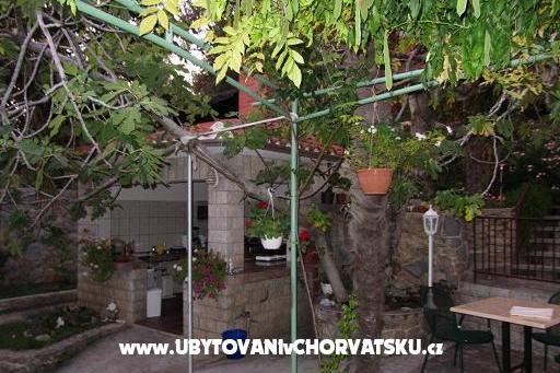 Pansion Vukusic – photo 8