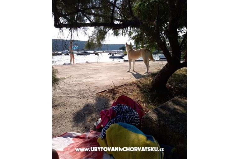 Villa Jagoda – photo 9