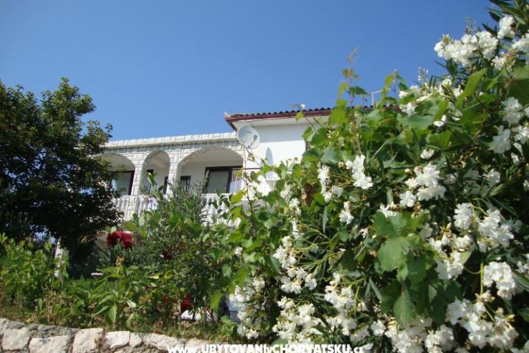 Villa Lolo – photo 10