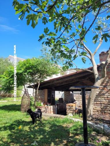 Villa Marija – photo 10