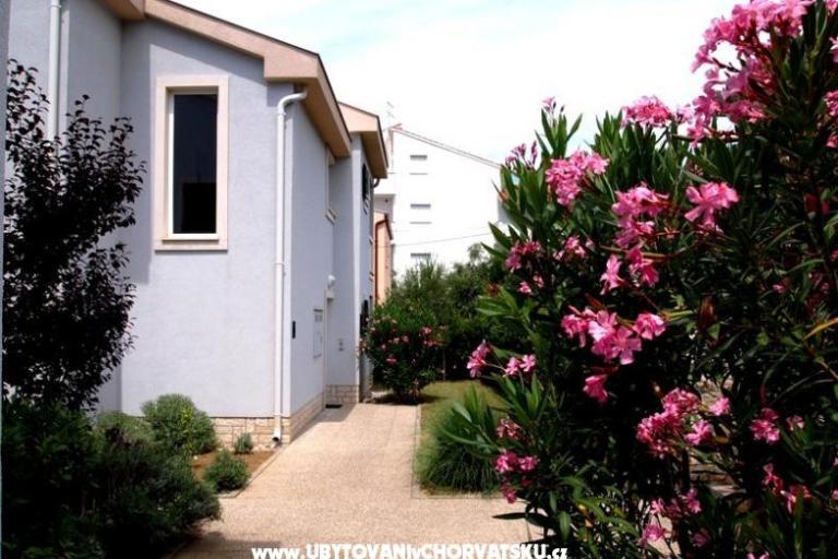 Villa Petra – photo 4