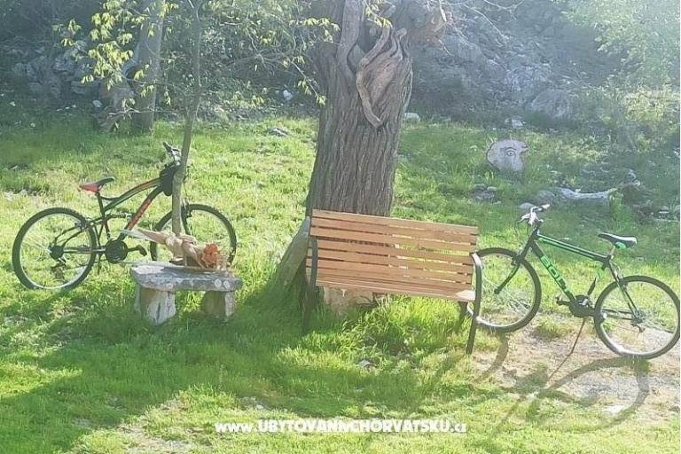 Traditional Istrian House ENI – photo 12