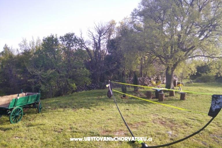 Traditional Istrian House ENI – photo 14