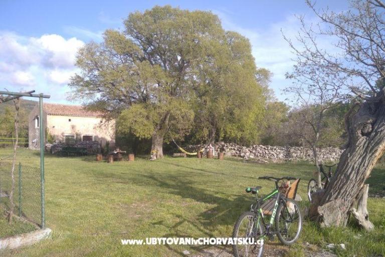 Traditional Istrian House ENI – photo 4