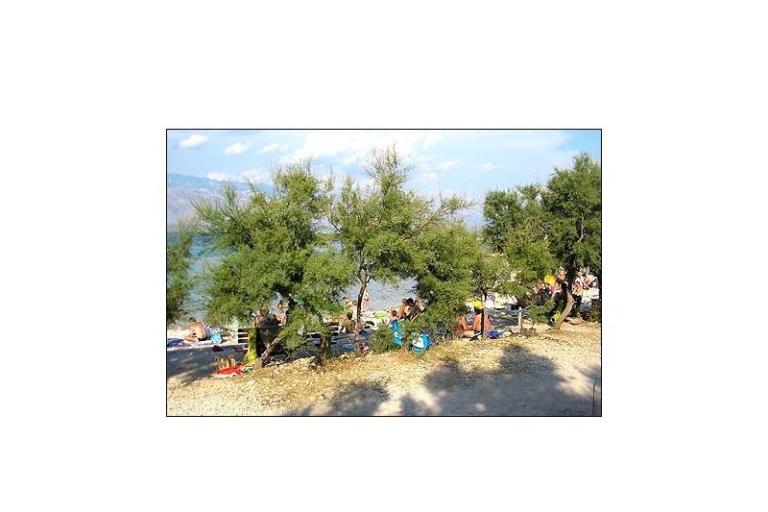 Apartment Nirvana – photo 18