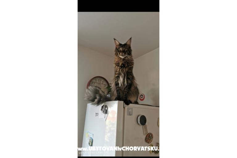 Apartments CAPE – photo 35