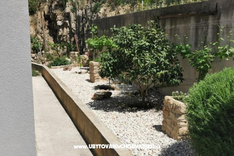 Apartments CAPE – photo 5