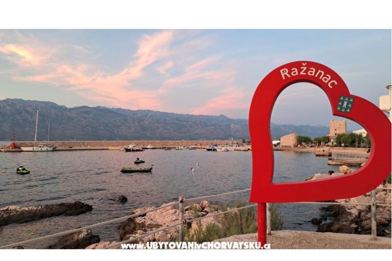 Apartments FLOBI – photo 7