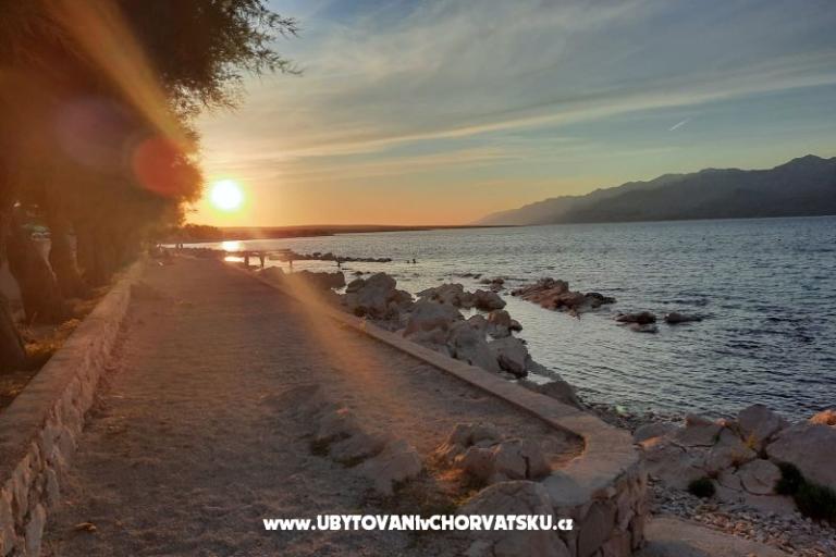 Apartments FLOBI – photo 8