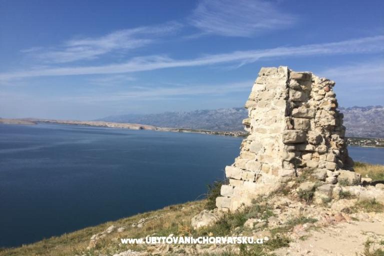 Apartments Gloria – photo 5