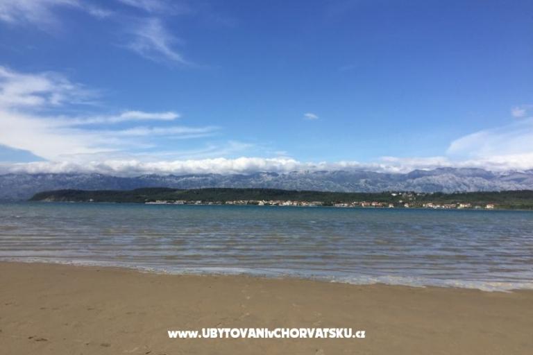 Apartments Gloria – photo 9