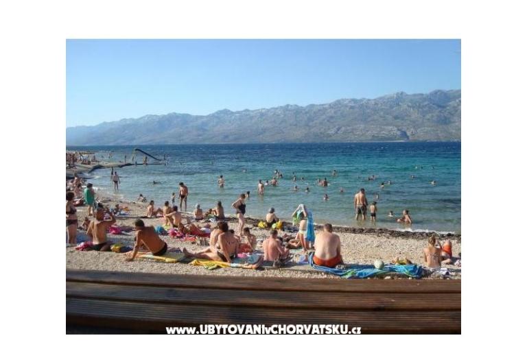 Apartments Jakov – photo 17