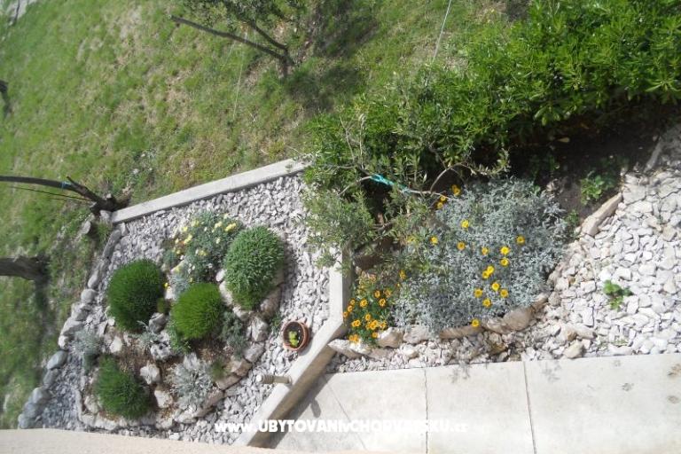 Apartments JIDRA – photo 12