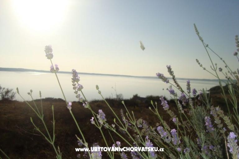 Apartment Marijan – photo 9