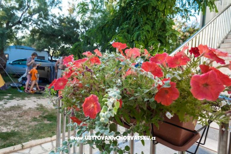 Apartments Puntica – photo 2