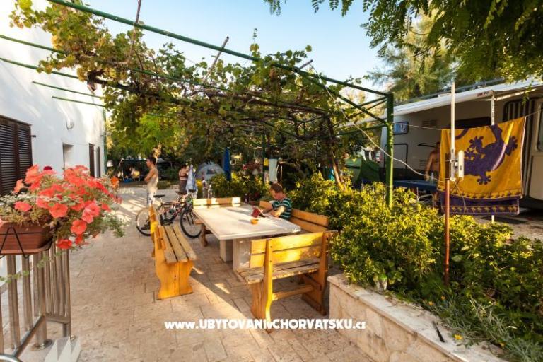 Apartments Puntica – photo 3