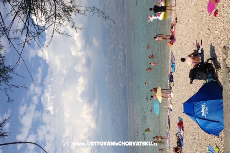  Miro Apartments – photo 13