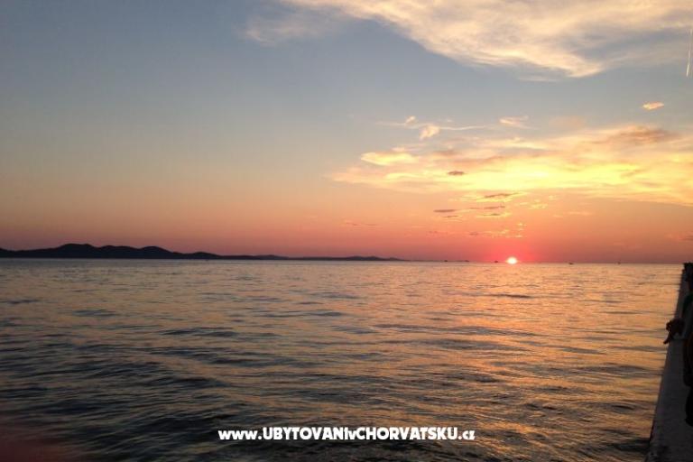  Miro Apartments – photo 18