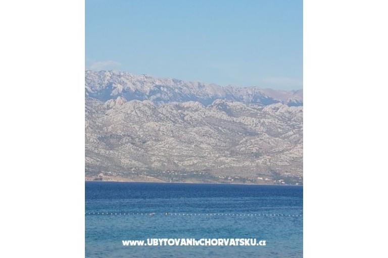  Miro Apartments – photo 7