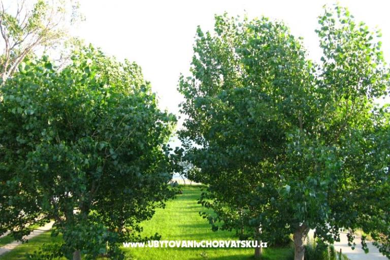 Villa Bibinka Ljubač – photo 12