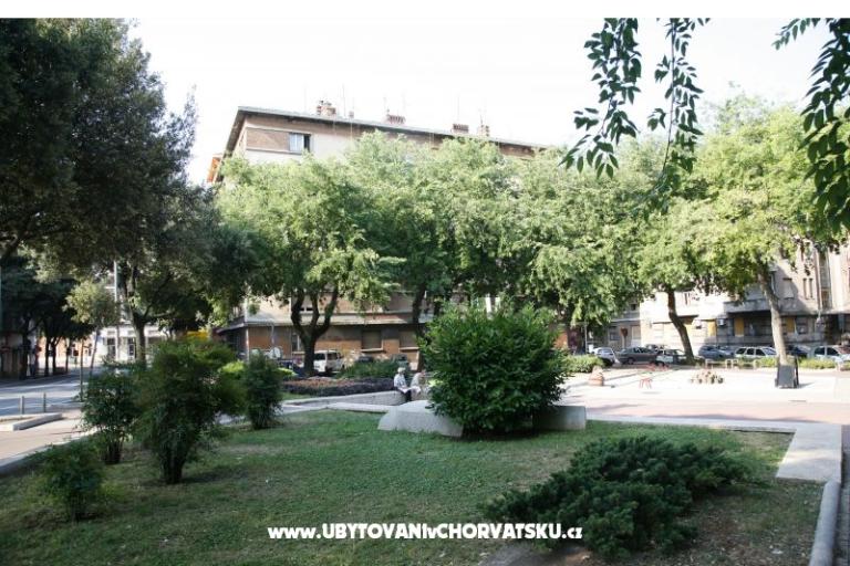 Apartment Ivna – photo 14