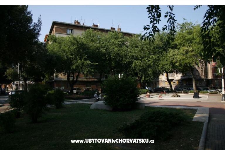 Apartment Ivna – photo 16