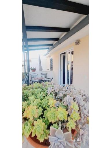 Apartment Odmor – photo 14