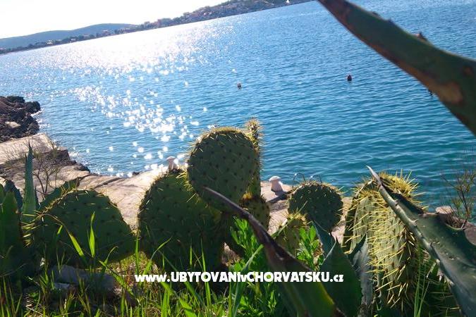 Apartment Dea – photo 12