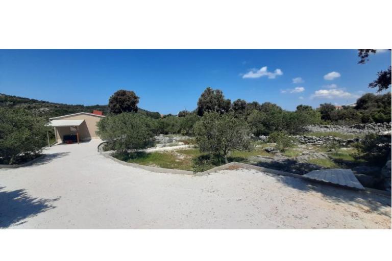 Apartment Maslinik – photo 18