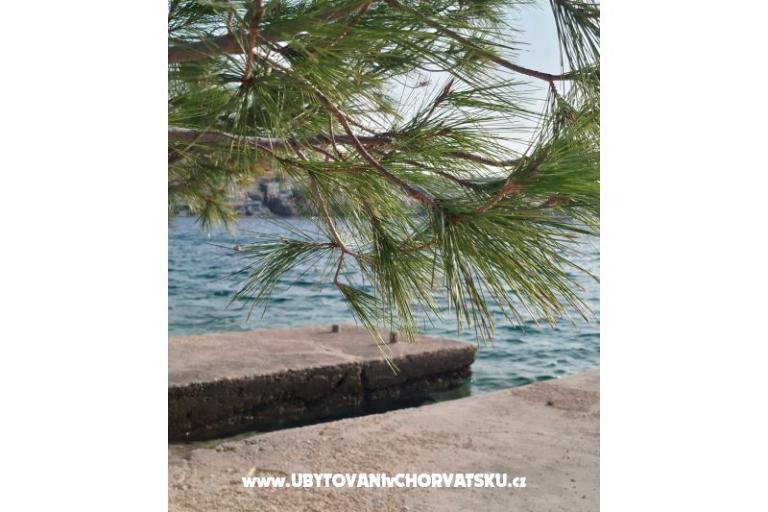 Apartment Mišić - OAZA MIRA – photo 19